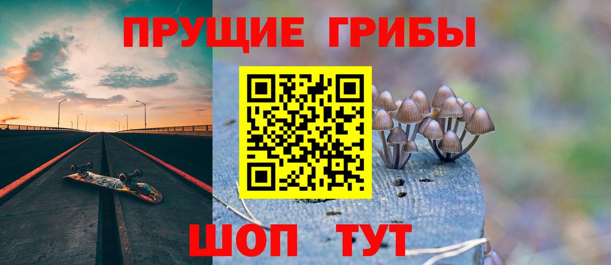 Псилоцибиновые грибы Psilocybine cubensis Кулебаки